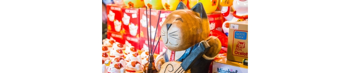 测试奇安信浏览器