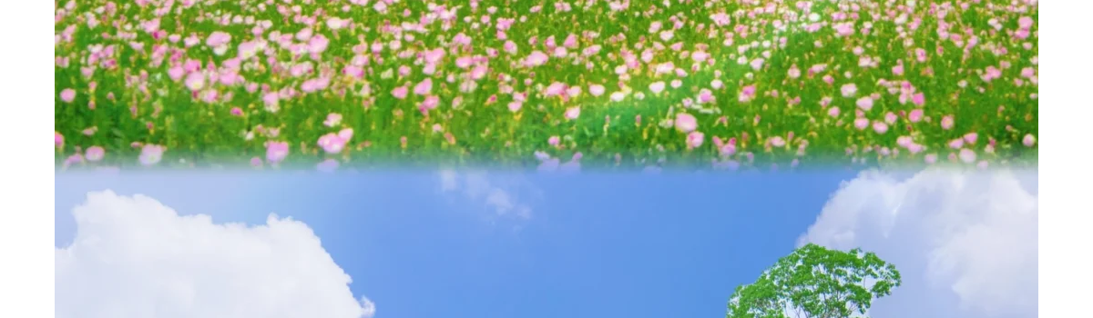 良渚给我太多惊喜了，说不尽是5月的良渚