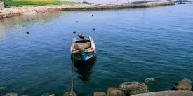 拍的怎么样，中考备考没太多时
